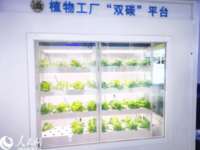 数字内容制作服务 创新驱动与价值实现